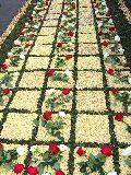 Alfombra de corozo y rosas