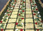 Alfombra de corozo y rosas