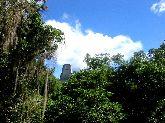 Tikal