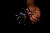 Habitante de Arena Negra por el Puerto de San Jose, Guatemala