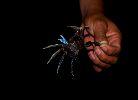 Habitante de Arena Negra por el Puerto de San Jose, Guatemala