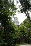 Tikal